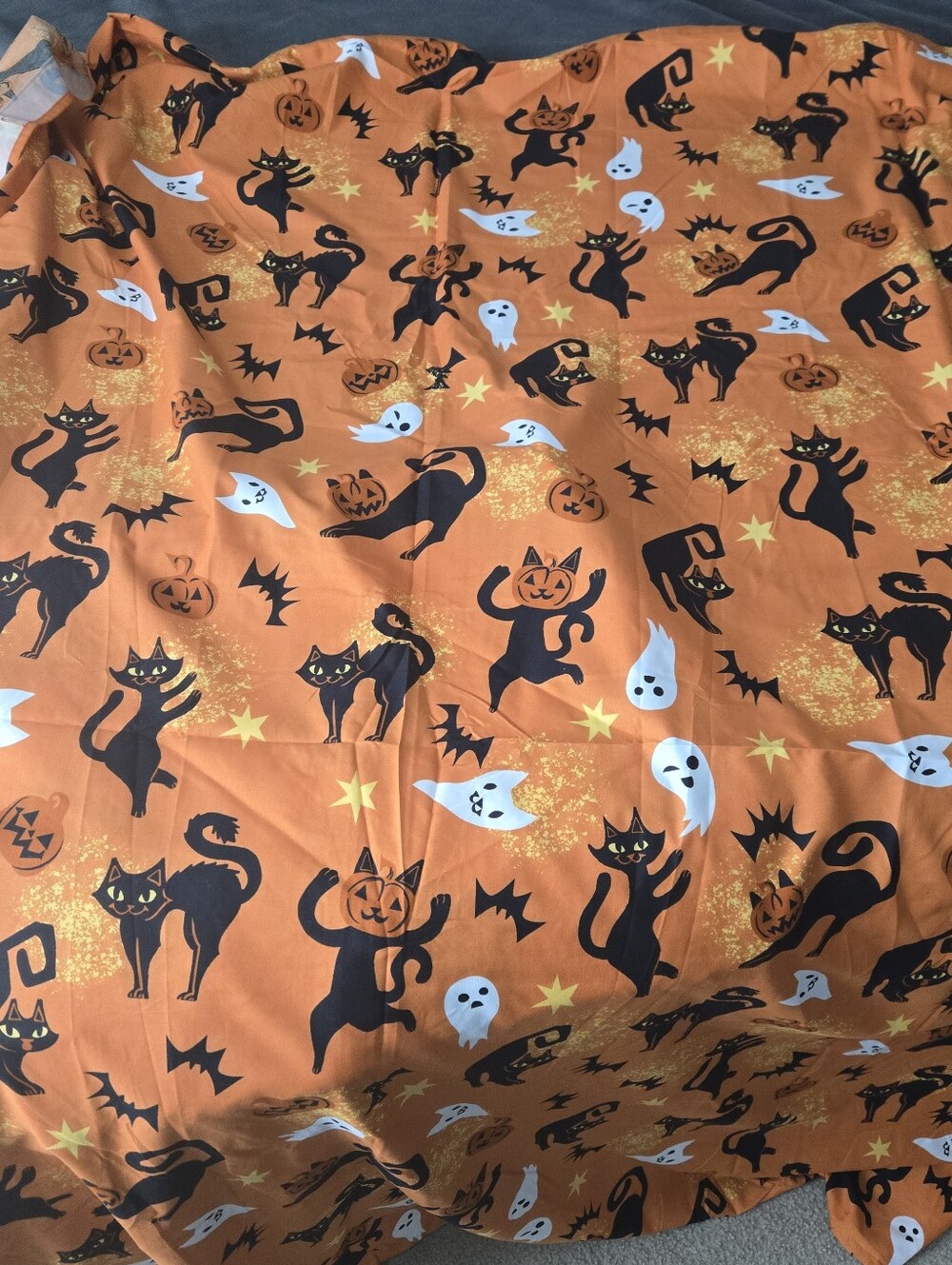 Halloween Shower Curtain